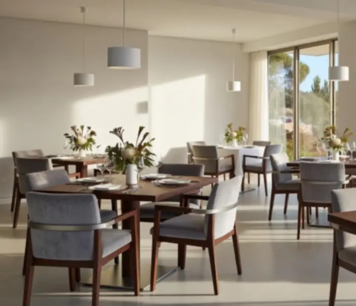 Sunlit modern dining room with elegant timber furnishings at Pocketpairplatter